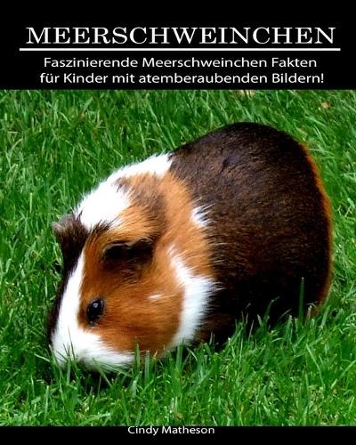 Meerschweinchen: Faszinierende Meerschweinchen Fakten für Kinder mit atemberaubenden Bildern!