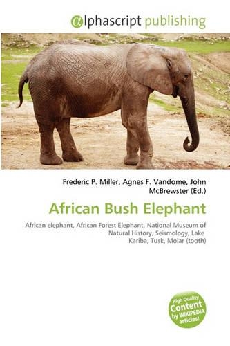 African Bush Elephant