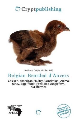 Belgian Bearded D'Anvers