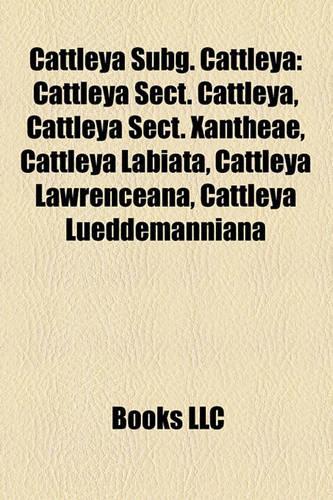 Cattleya Subg. Cattleya