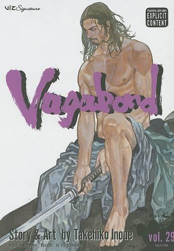 Vagabond, Vol. 29