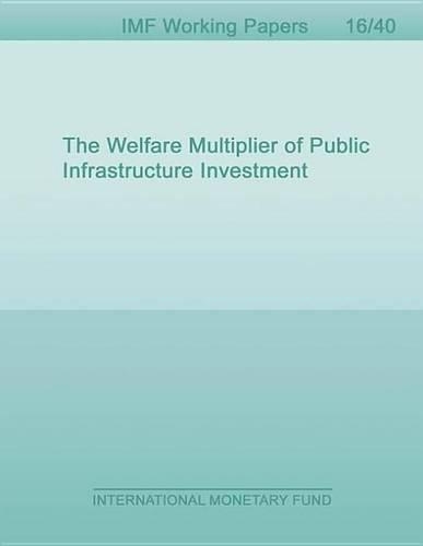 The Welfare Multiplier of Public Infrastructure Investment