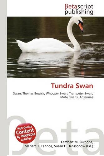 Tundra Swan