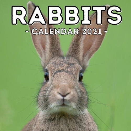 Rabbits Calendar 2021