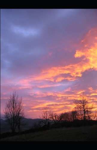 Clara's Revenge: (Clara)