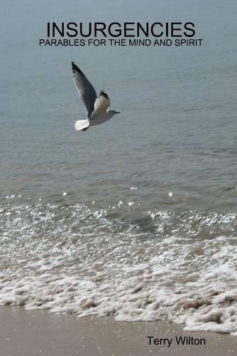 Insurgencies: Parables for the Mind and Spirit