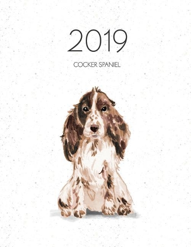2019 Cocker Spaniel