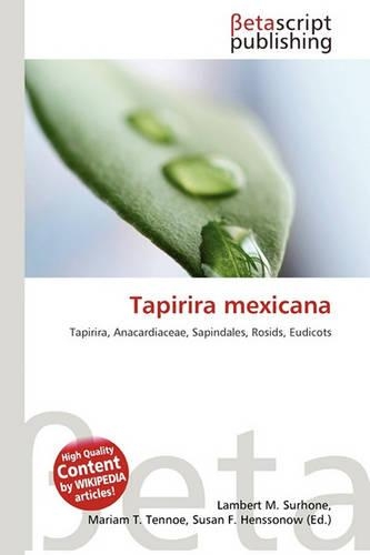 Tapirira Mexicana