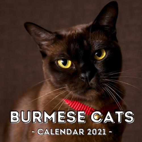 Burmese Cats