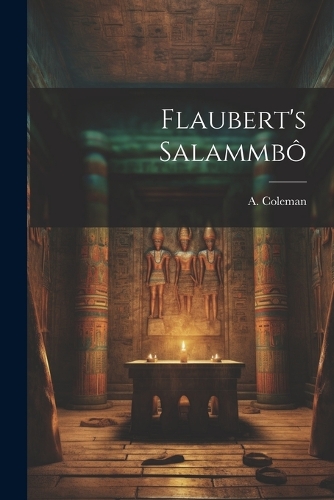 Flaubert's Salammbô: On The Plane Activity Book for Kids