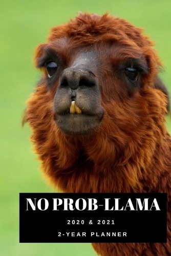 Funny Llama Pun 2020 & 2021 Weekly Planner - Two Year Appointment Book Gift - Agenda Notebook for New Year Planning: 24 Month Calendar For Daily Plans - Weeks Reminder Book - Gift Day Book For Academic, Work, or Personal - Silly Animal Cover - Two-Year