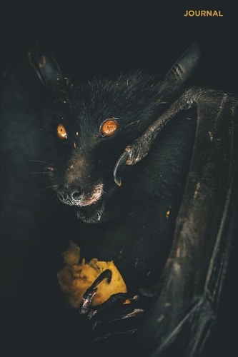 Journal
