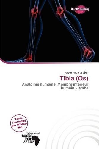 Tibia (OS)