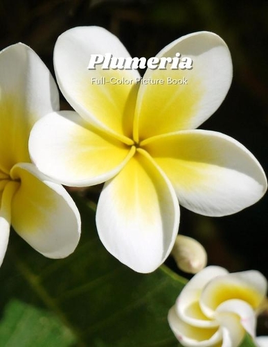 Plumeria Full-Color Picture Book