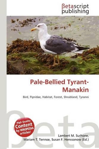 Pale-Bellied Tyrant-Manakin: (English)