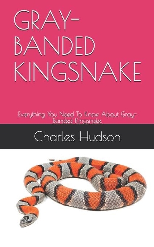 Gray-Banded Kingsnake