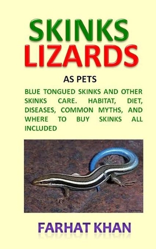 Skinks Lizards as Pets