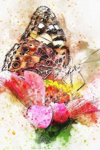 Butterfly Art Notebook