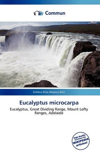 Eucalyptus Microcarpa