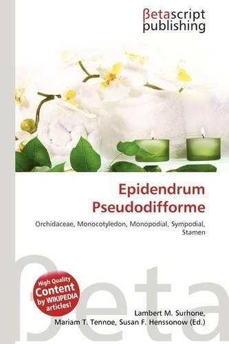 Epidendrum Pseudodifforme: (English)