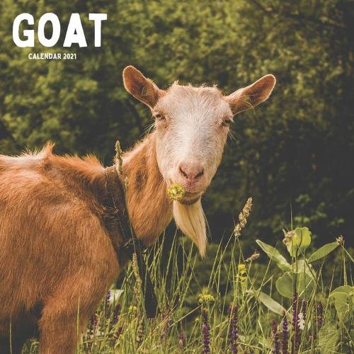 Goat Calendar 2021