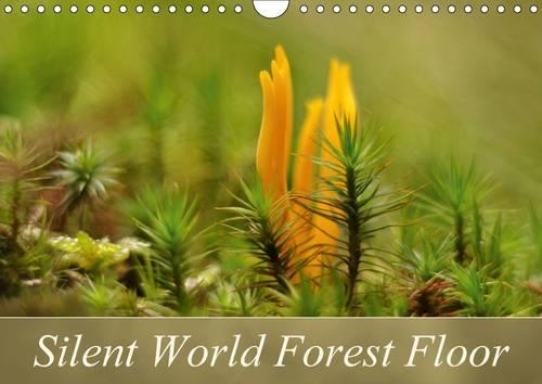 Silent World Forest Floor 2015: Small plants of the forest floor photographed in very low perspective(Calvendo Nature)