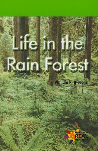 Life in the Rain Forest