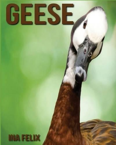 Geese