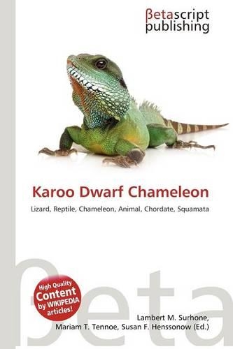 Karoo Dwarf Chameleon