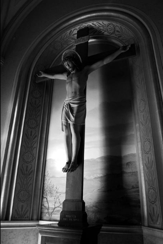 Homilies for St. Bernadette