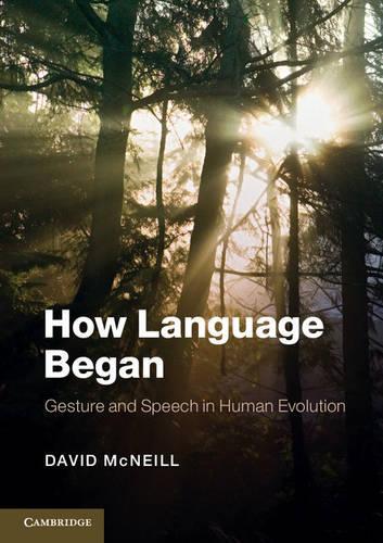 How Language Began: Gesture and Speech in Human Evolution(Approaches to the Evolution of Language)