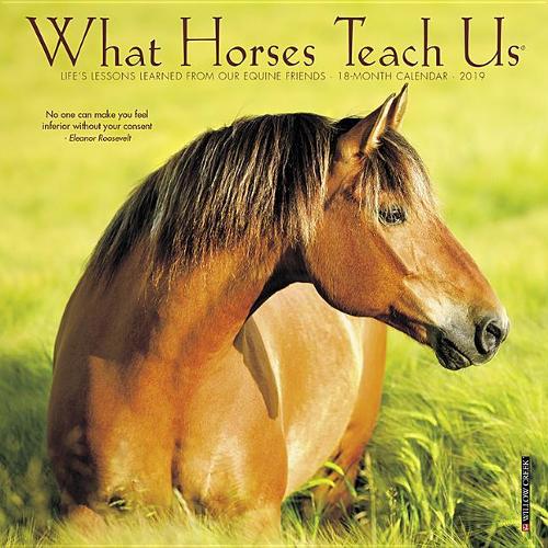 What Horses Teach Us Mini 2019 Wall Calendar
