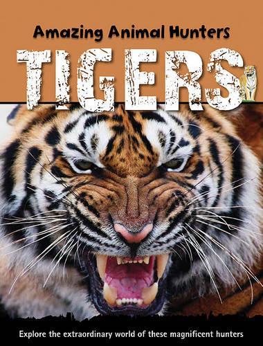 Tigers: (Amazing Animal Hunters)