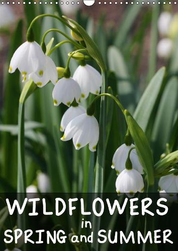 Wildflowers in Spring and Summer 2019