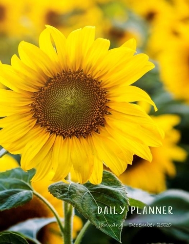 Daily Planner January-December 2020