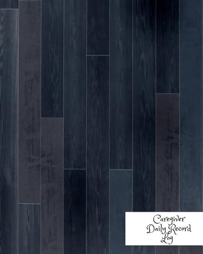 Caregiver Daily Record Log: Caregiver Journal Notebook Medical Records Organizer Care log Journal Caregiver Work Template Career Work Tracking Daily Service User Record Book To