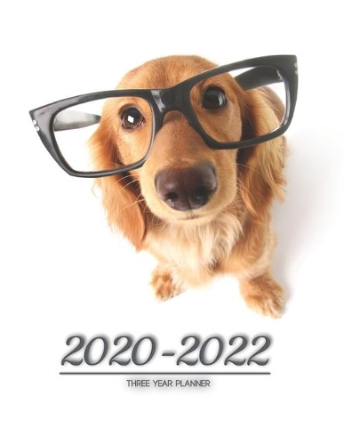 2020-2022 three year planner