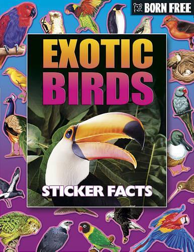Exotic Birds