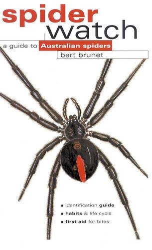Spiderwatch