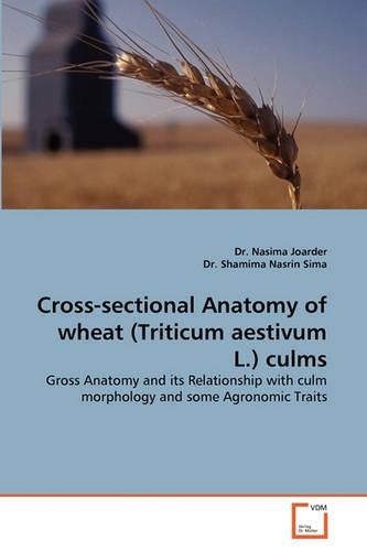 Cross-Sectional Anatomy of Wheat (Triticum Aestivum L.) Culms: (English)
