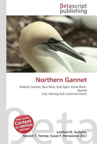 Northern Gannet