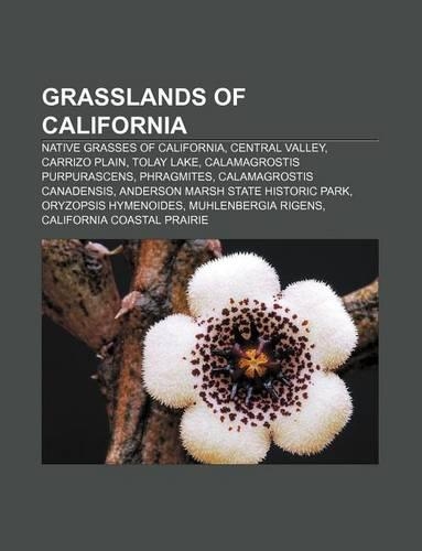 Grasslands of California