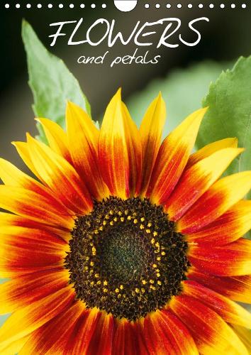 Flowers and Petals 2019