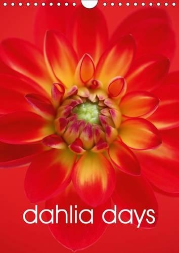 dahlia days 2016