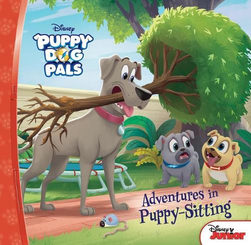 Adventures in Puppy-Sitting: (Puppy Dog Pals)