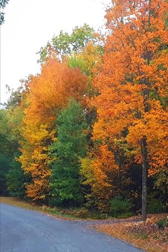 2020 Weekly Planner Autumn Country Road Rural 134 Pages