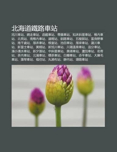 B I H I DAO Ti Lu Ch Zhan