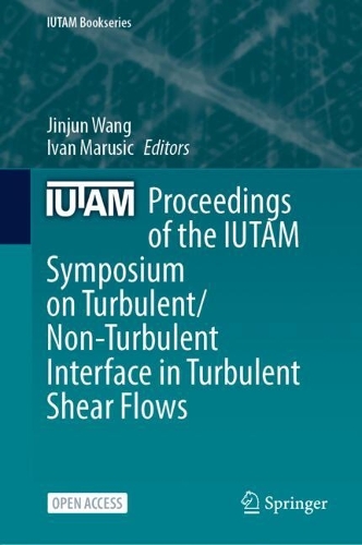 Proceedings of the IUTAM Symposium on Turbulent/Non-Turbulent Interface in Turbulent Shear Flows: (45 IUTAM Bookseries)