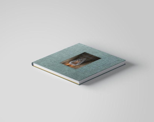 Baldwin & Guggisberg: Under an Equal Sky