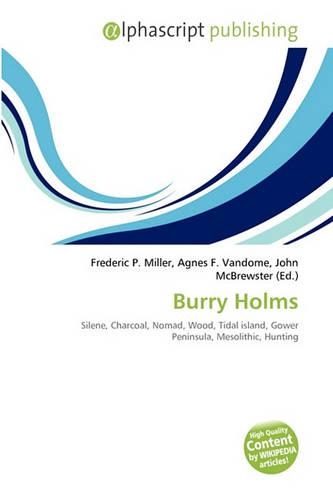 Burry Holms